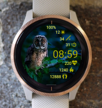 Garmin Watch Face - Owl Beauty