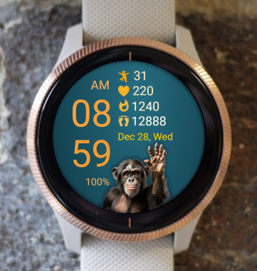 Garmin Watch Face - Monkey