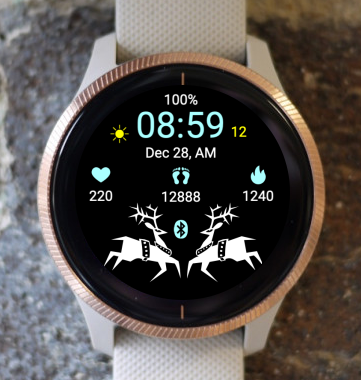 Garmin Watch Face - Echelon XSS