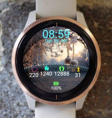 Garmin Watch Face - Winter