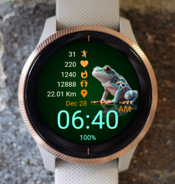 Garmin Watch Face - Smile 06