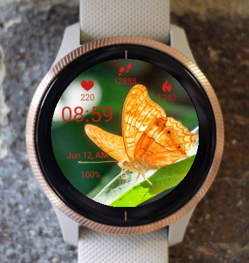 Garmin Watch Face - Orange Butterfly