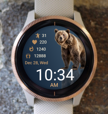 Garmin Watch Face - Bear