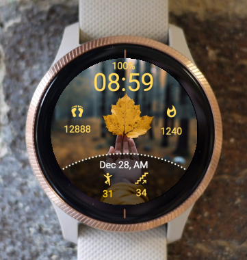 Garmin Watch Face - Fall T1