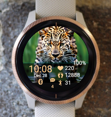 Garmin Watch Face - Wildlife W03