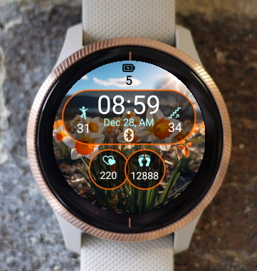 Garmin Watch Face - Spring S11