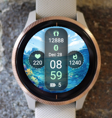 Garmin Watch Face - Ocean O3