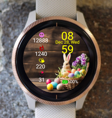 Garmin Watch Face - Easteregg