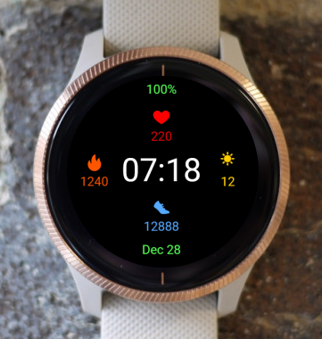 Garmin Watch Face - Garmin Fit