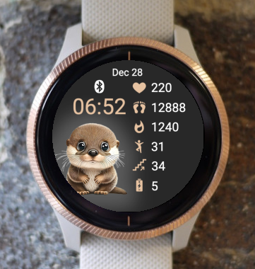 Garmin Watch Face - Cute Animal Ferret