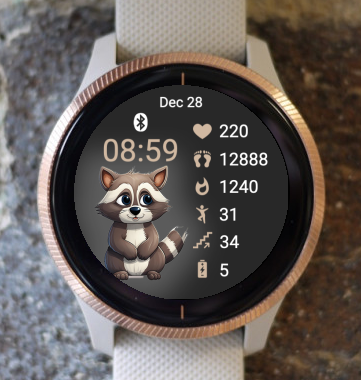 Garmin Watch Face - Cute Animal Raccoon