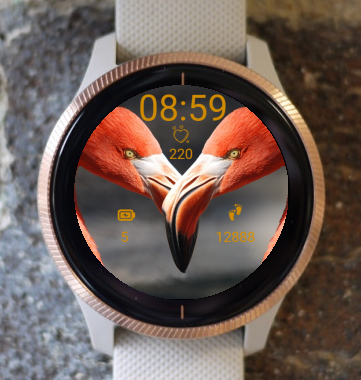 Garmin Watch Face - Flamingos