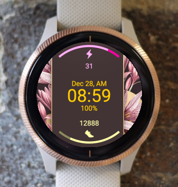 Garmin Watch Face - OneTwo FAA