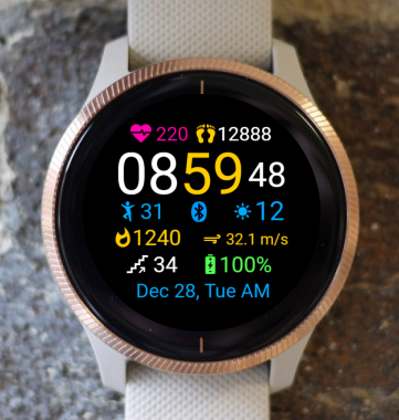 Garmin Watch Face - Data Love