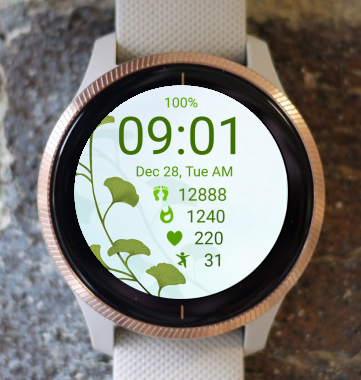 Garmin Watch Face - Ginkgo