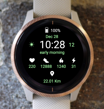 Garmin Watch Face - Echelo Active