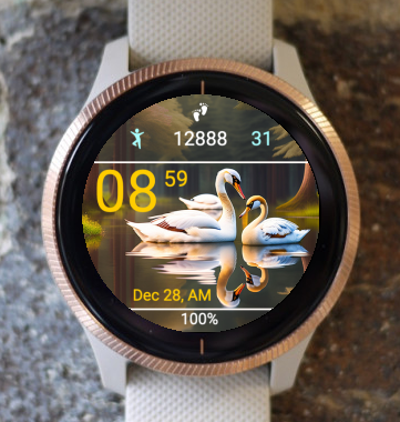 Garmin Watch Face - Swan S1