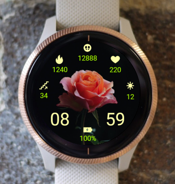 Garmin Watch Face - Active Light Rose 