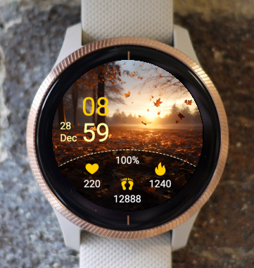 Garmin Watch Face - Autumn O1