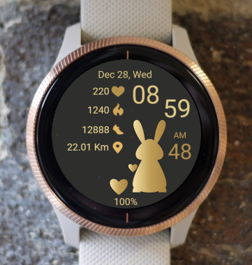 Garmin Watch Face - Gold Bunny