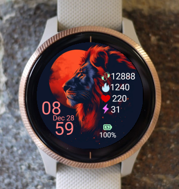 Garmin Watch Face - Simba