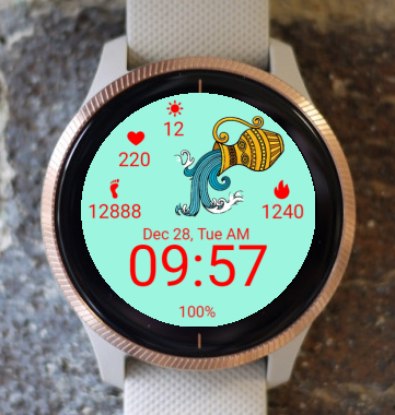 Garmin Watch Face - Aquarius Zodiac Garmin Sport