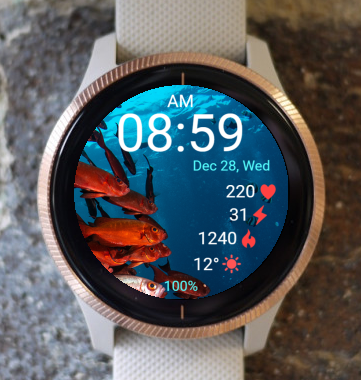 Garmin Watch Face - Underwater