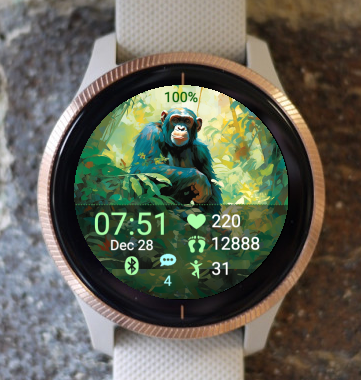 Garmin Watch Face - Caesar