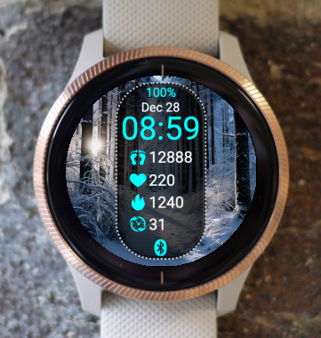 Garmin Watch Face - Winter W01