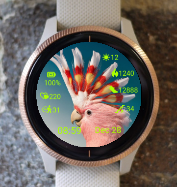 Garmin Watch Face - Cockatoo